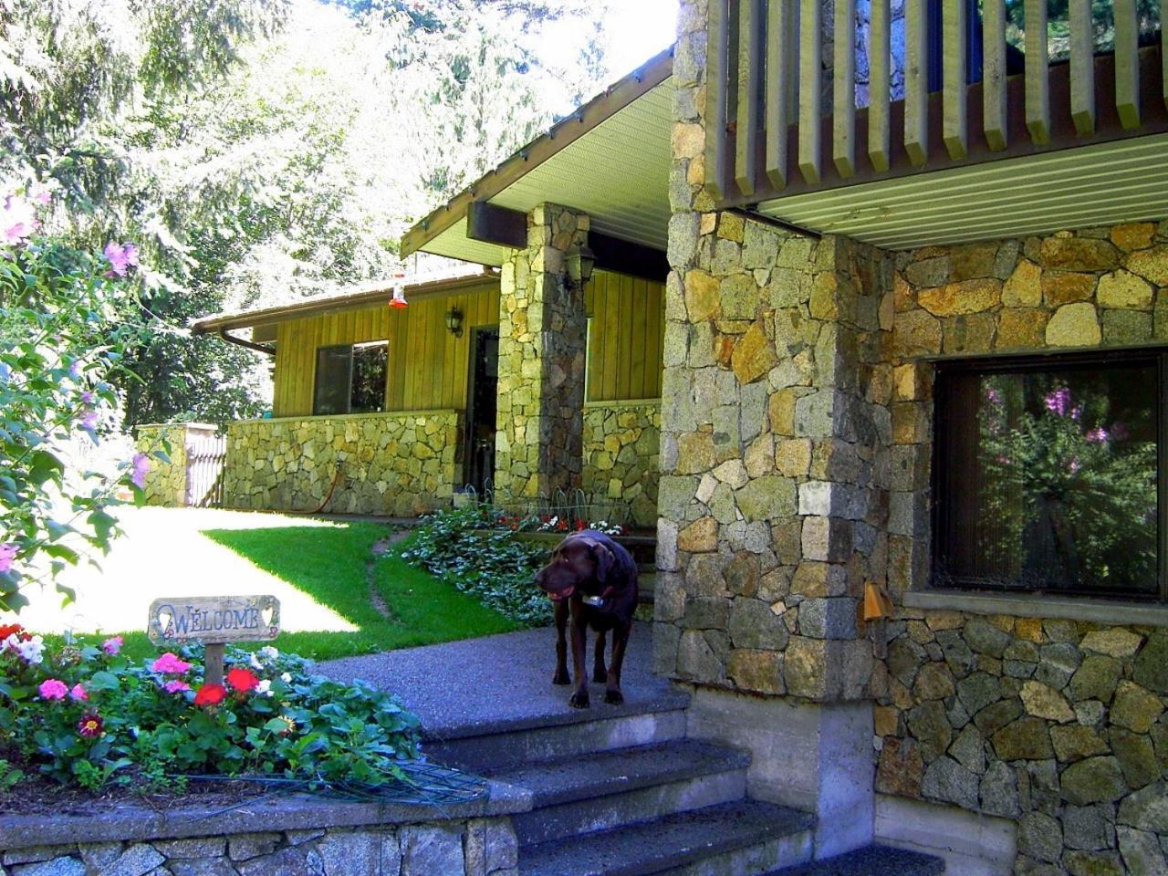 Misty Meadows B&B Langford Exterior foto