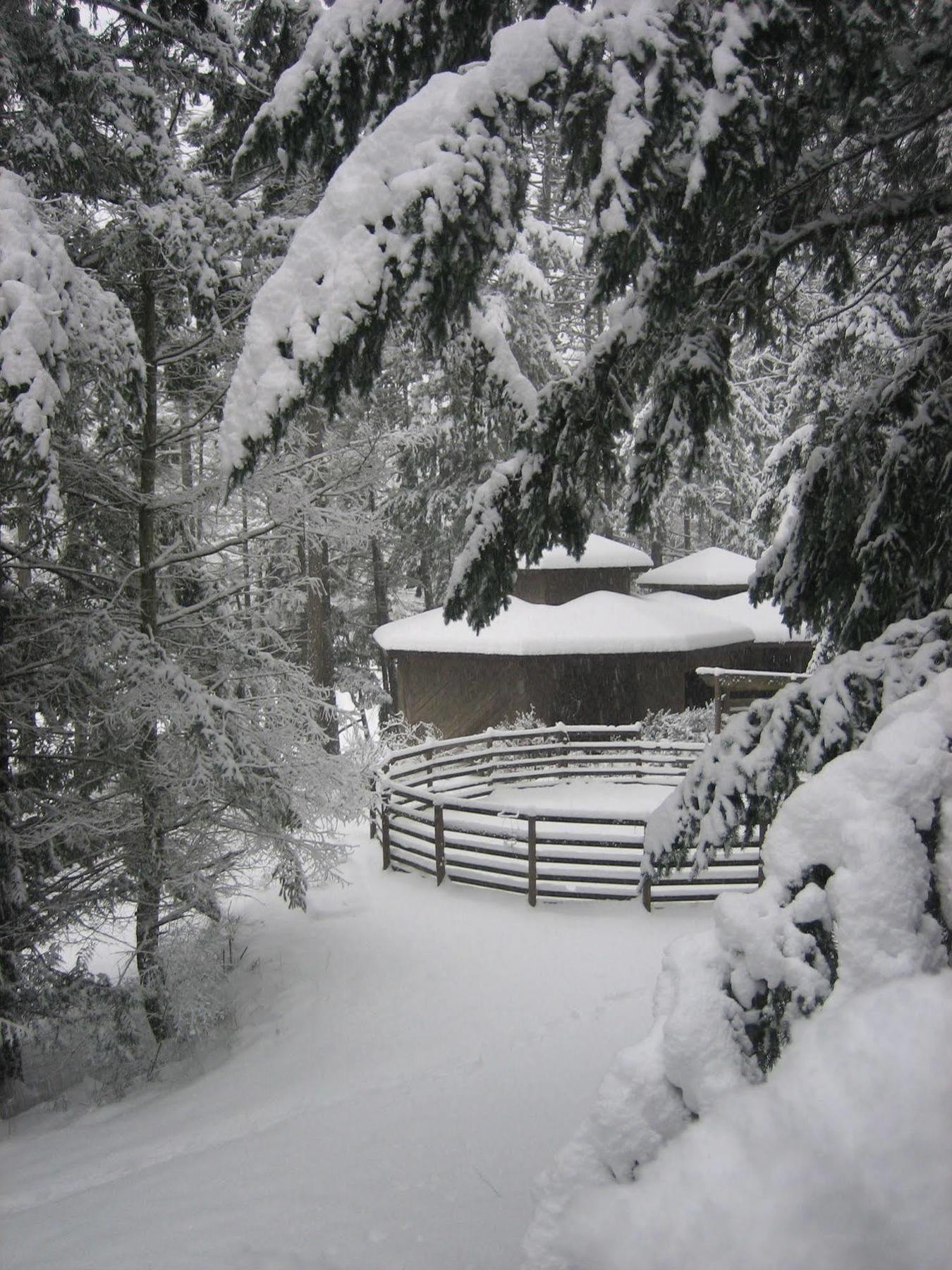 Misty Meadows B&B Langford Exterior foto