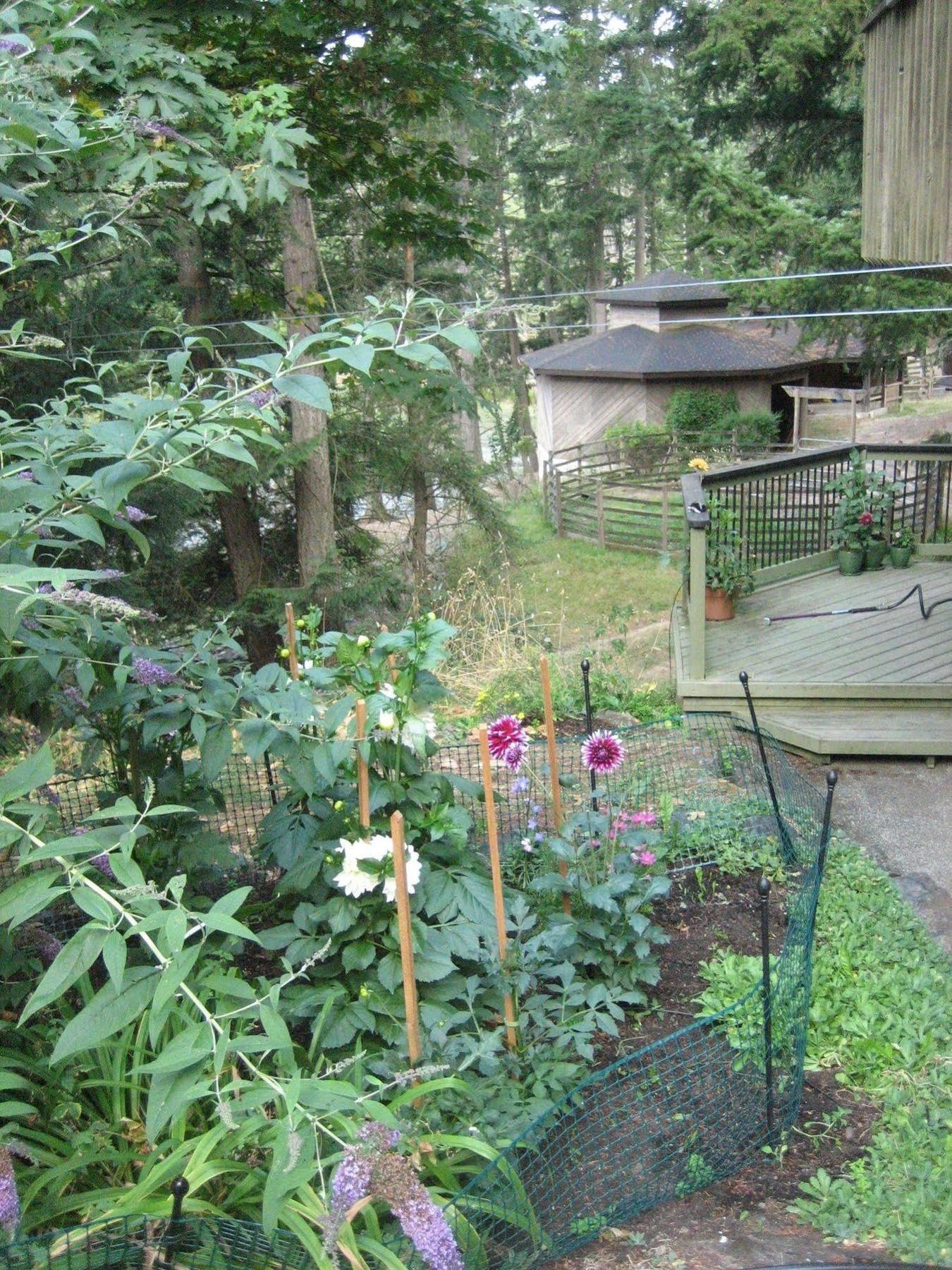 Misty Meadows B&B Langford Exterior foto