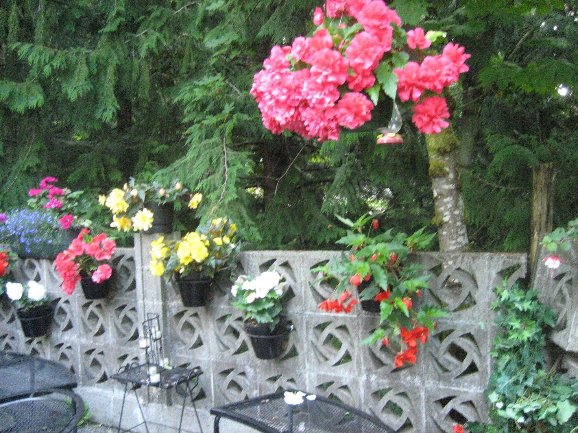 Misty Meadows B&B Langford Exterior foto